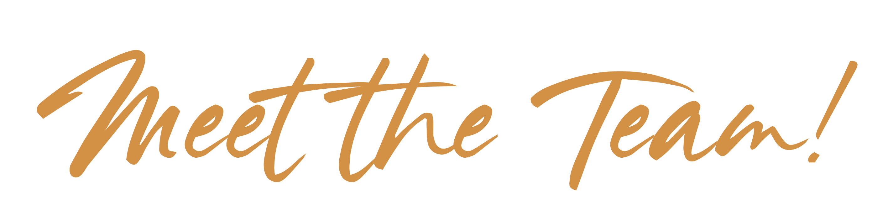 Meet the Team!